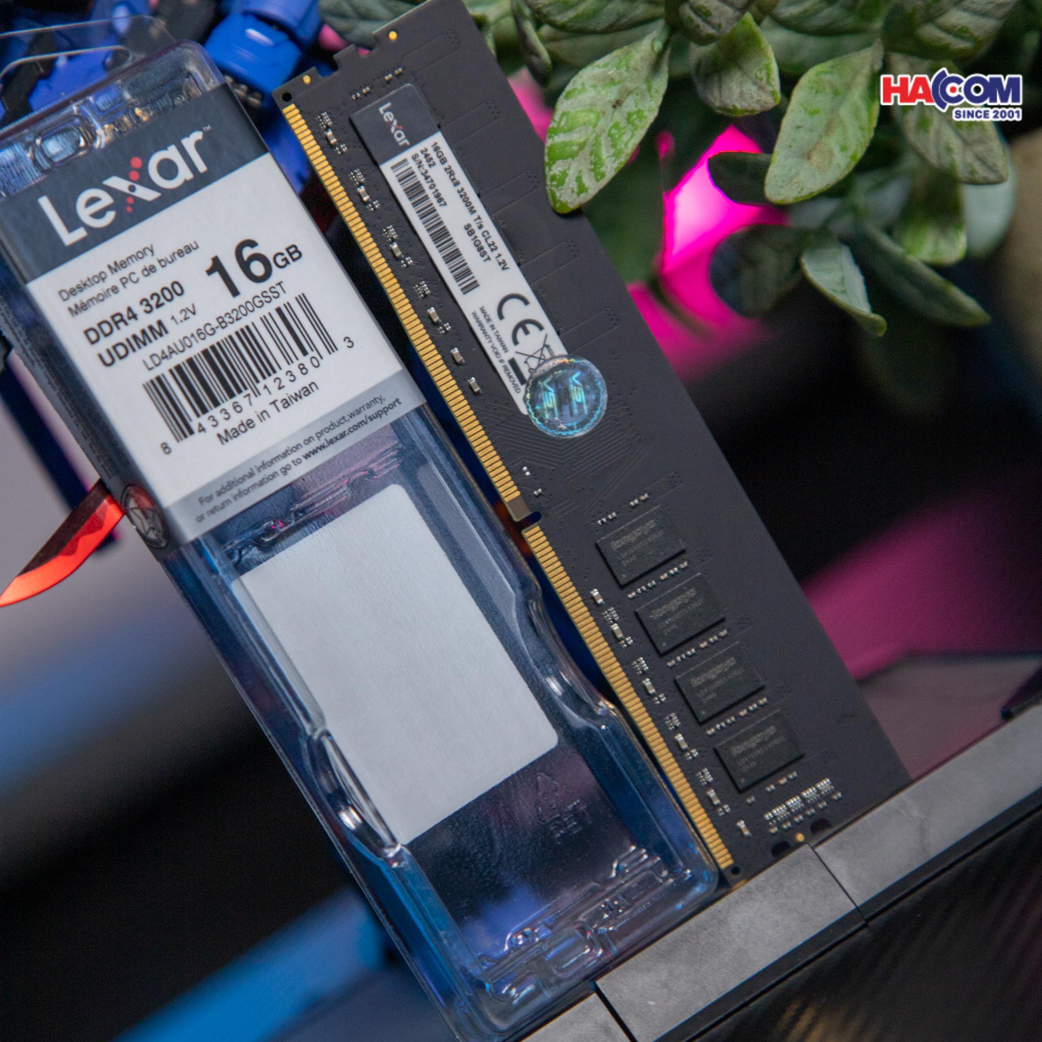 cdn/web/01122025/IMG_0882.jpg 6