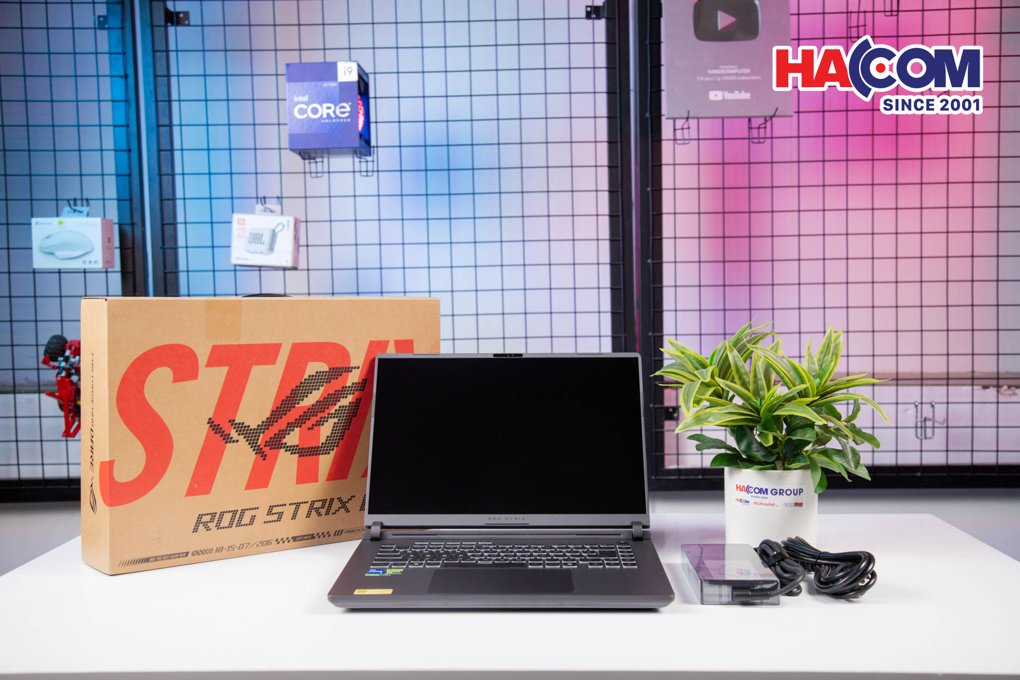 cdn/web/01122025/IMG_1049.jpg 13