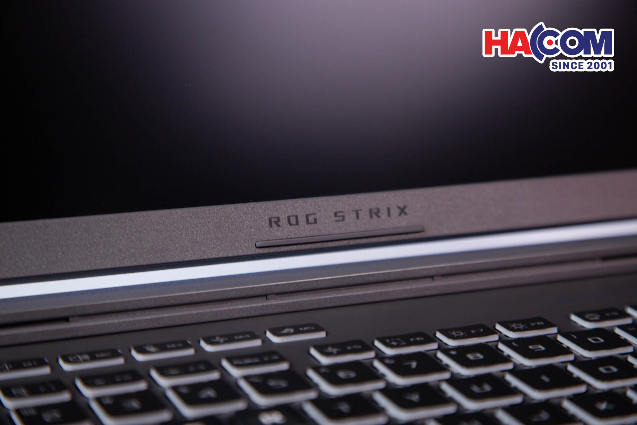 cdn/web/01122025/IMG_1060.jpg 15