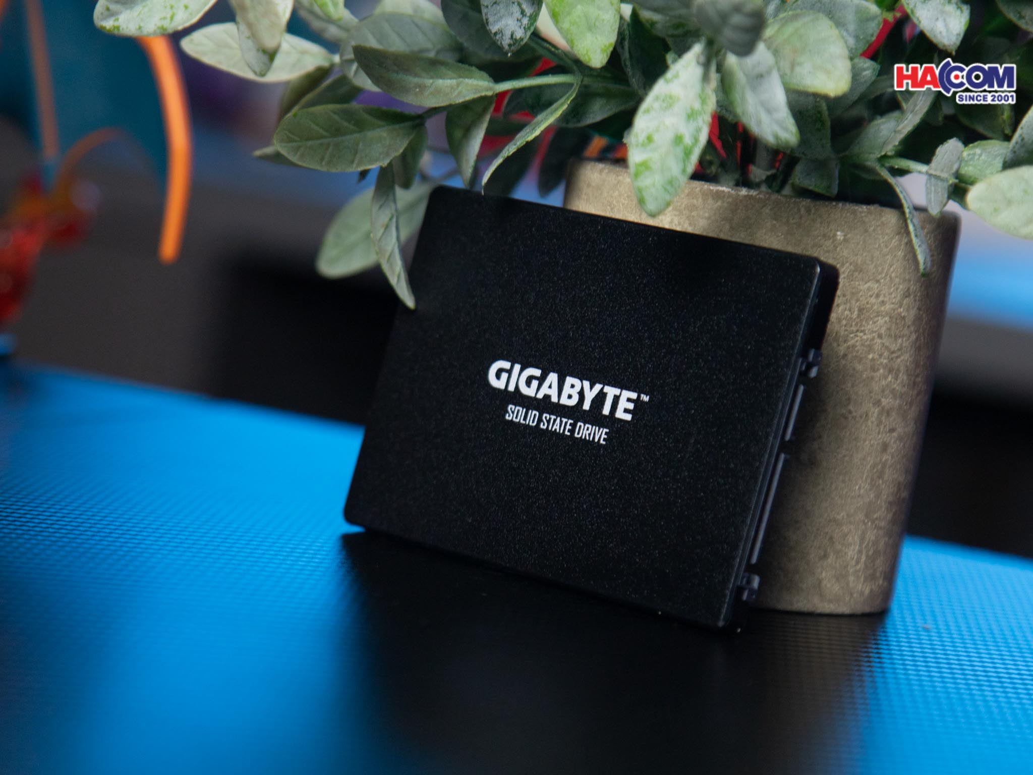 cdn/web/01122025/o-cung-ssd-gigabyte-sata-2.jpg 3