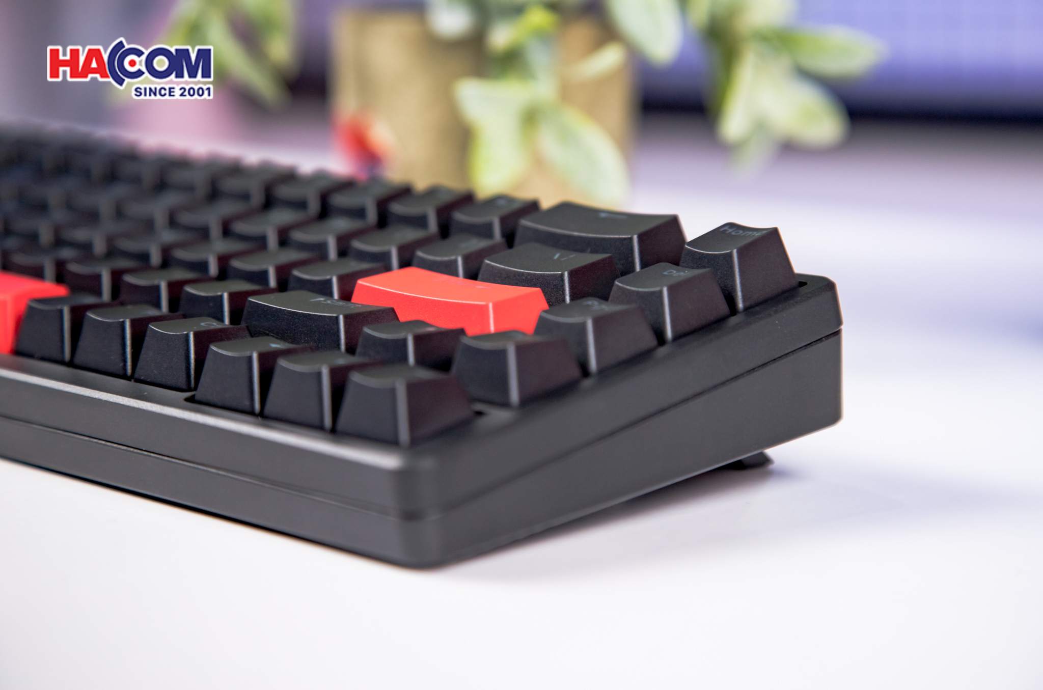 Bàn phím Keychron X6-A1 X6 Red Backlight Red Switch 10