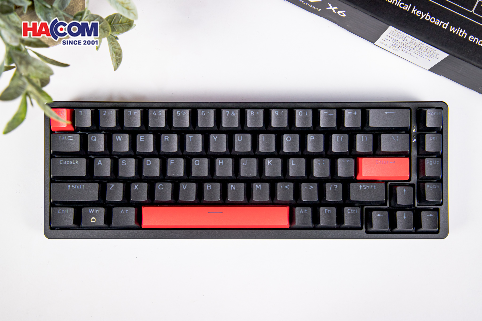 Bàn phím Keychron X6-A1 X6 Red Backlight Red Switch 5