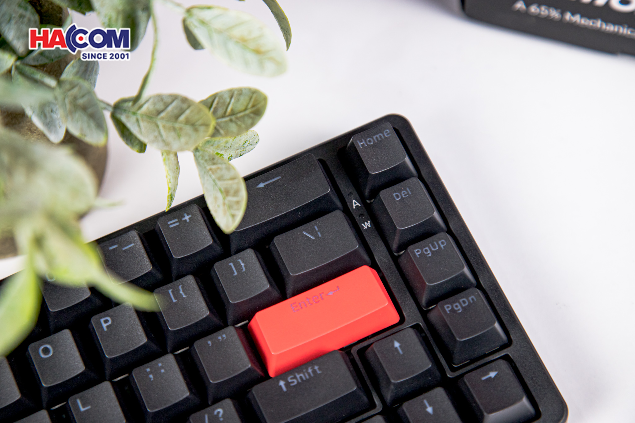 Bàn phím Keychron X6-A1 X6 Red Backlight Red Switch 7