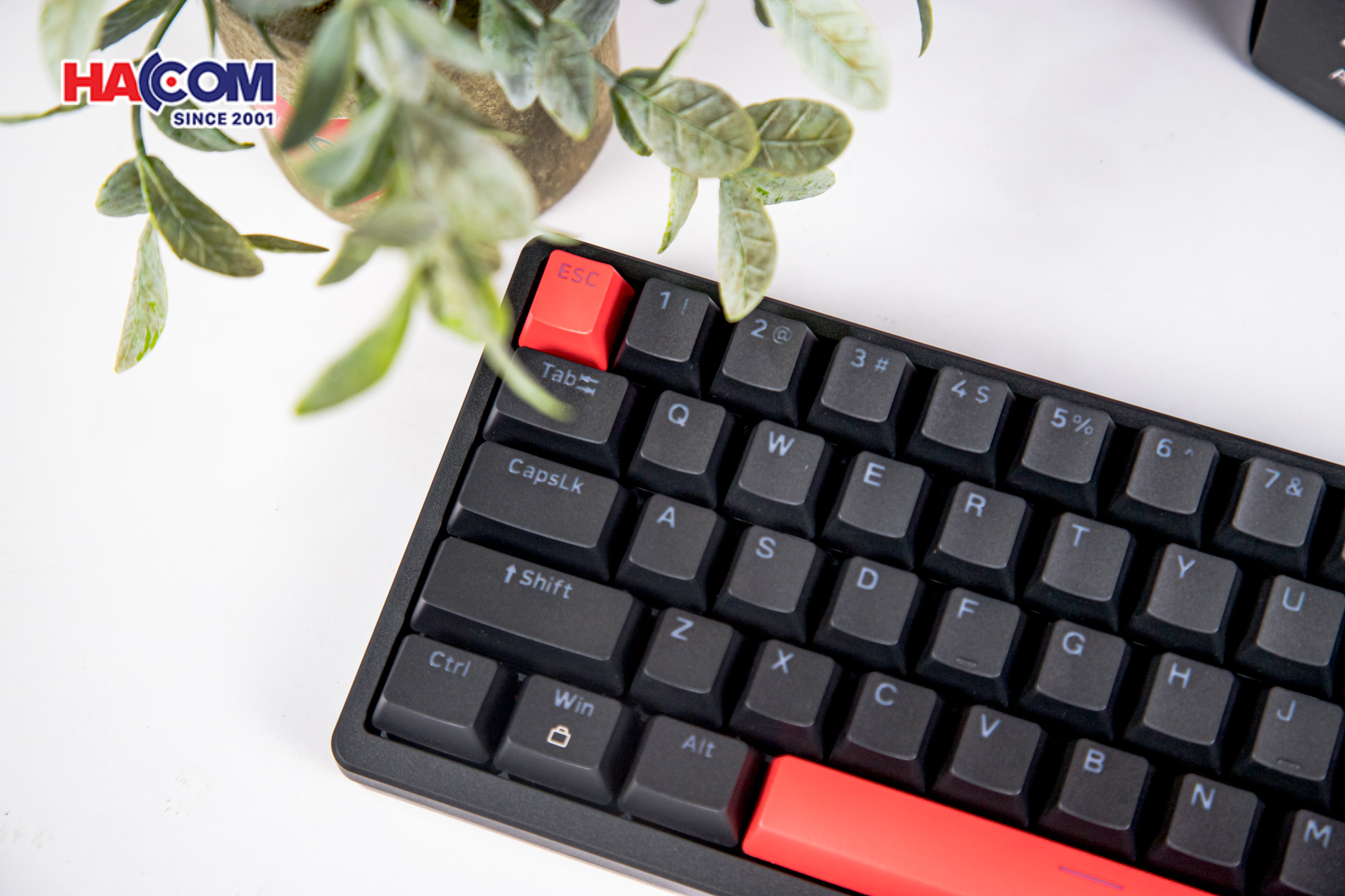 Bàn phím Keychron X6-A3 X6 Red Backlight Brown Switch 6