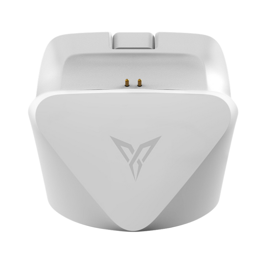 Dock sạc Flydigi Charging dock 2 for Direwolf 4 màu trắng 1