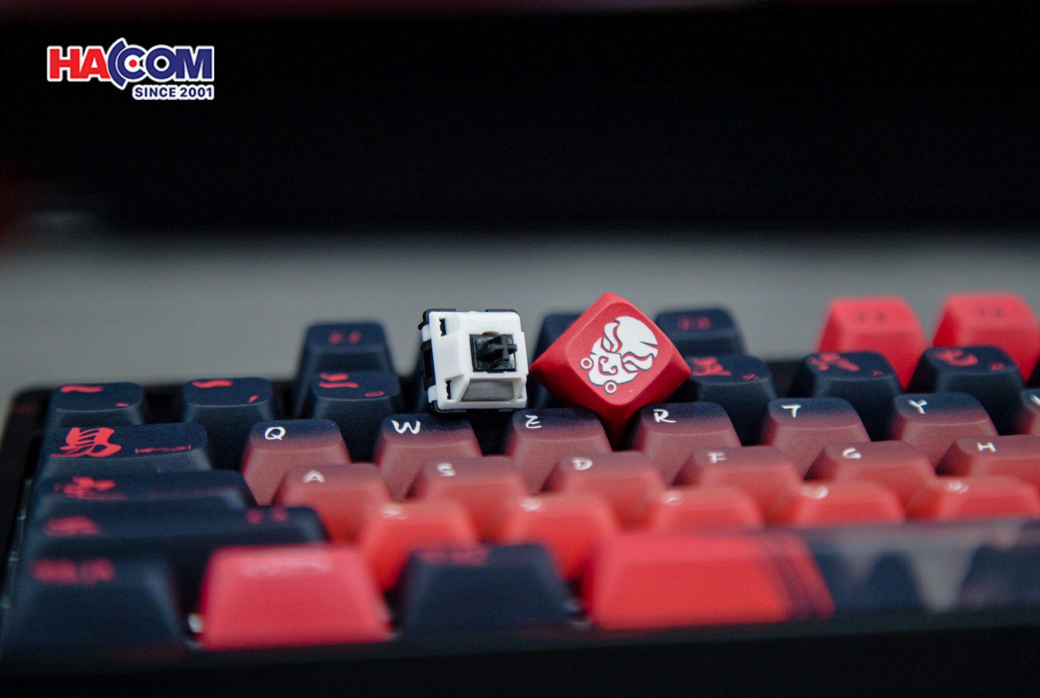 Bàn phím AKKO 5108B Plus Degenerate (RGB / Hotswap / Piano Pro Sw / Multi-mode) 20