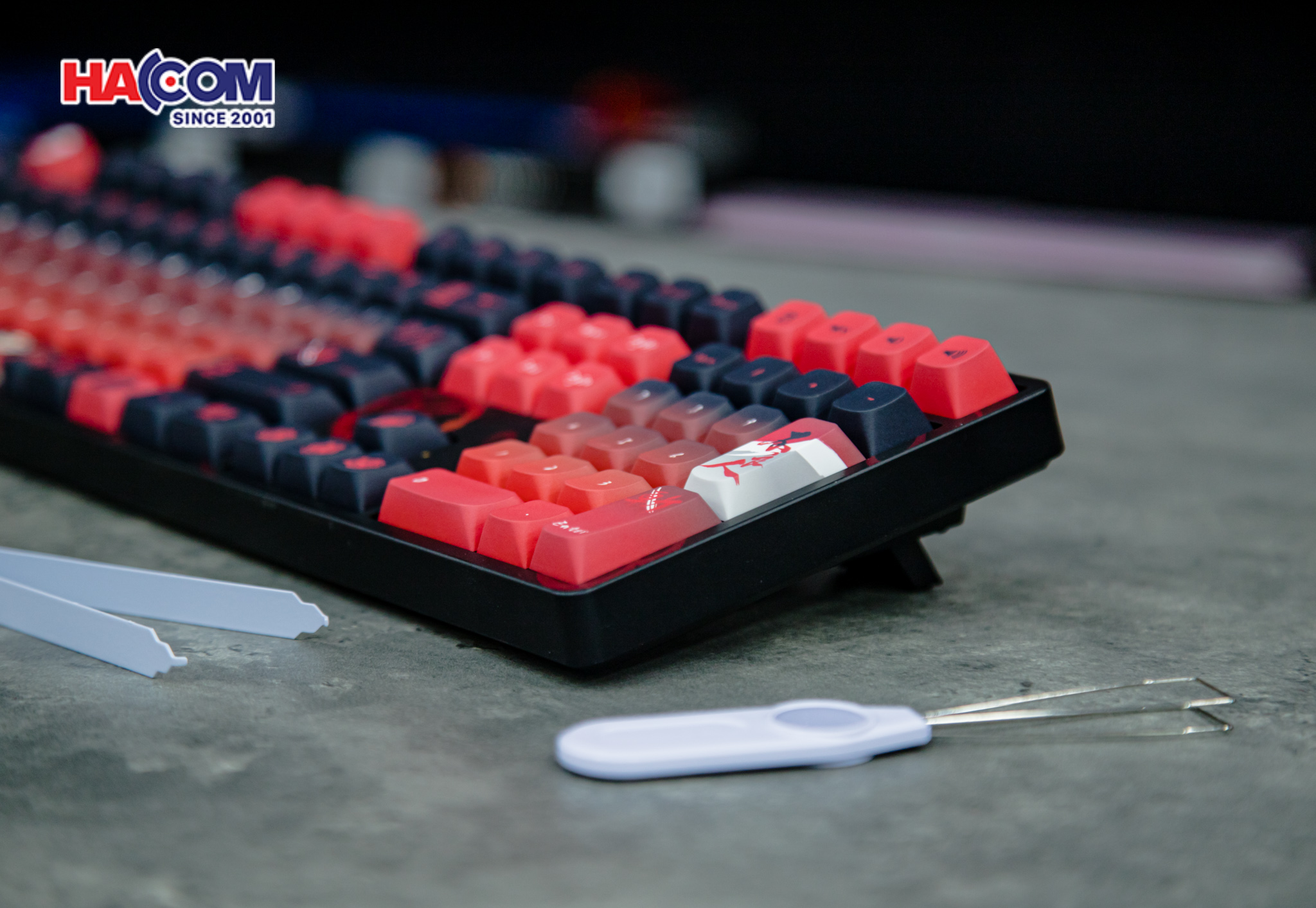 Bàn phím AKKO 5108B Plus Degenerate (RGB / Hotswap / Piano Pro Sw / Multi-mode) 21