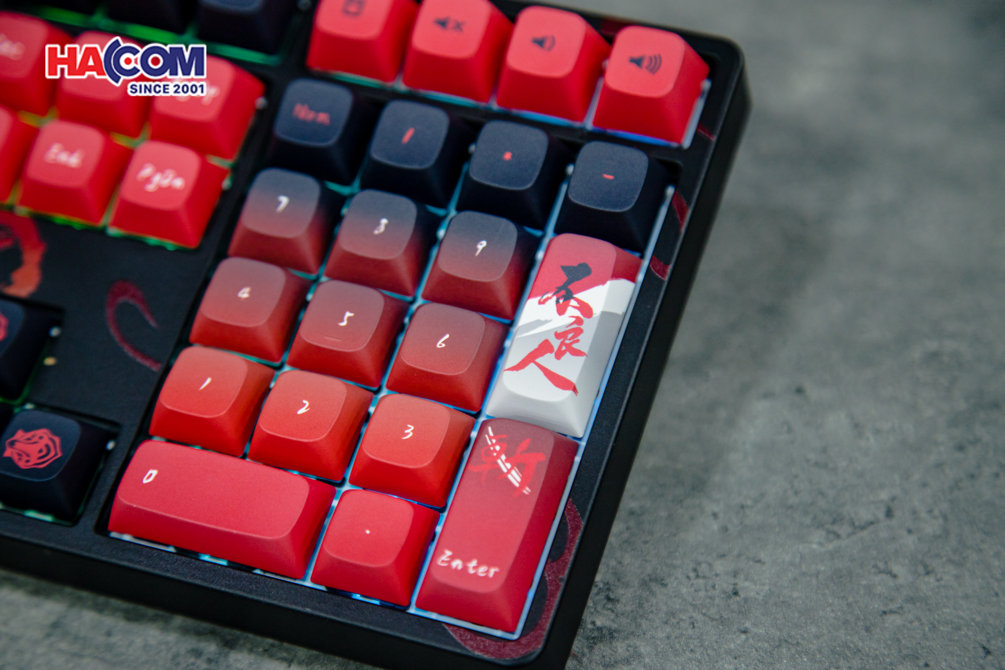 Bàn phím AKKO 5108B Plus Degenerate (RGB / Hotswap / Piano Pro Sw / Multi-mode) 12