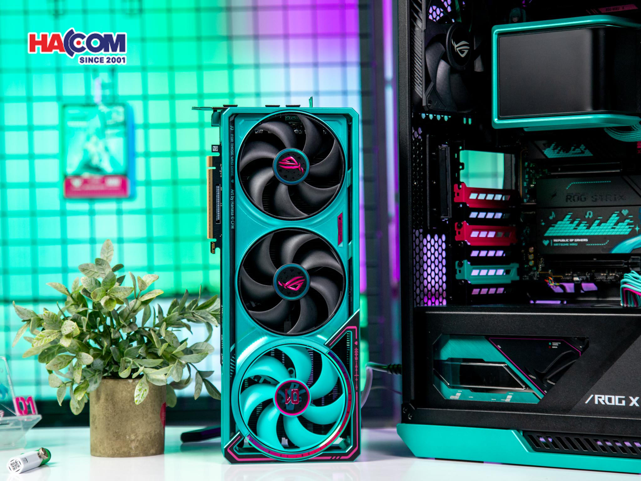 cdn/web/05112025/5080-Astra-Miku-2.jpg 3