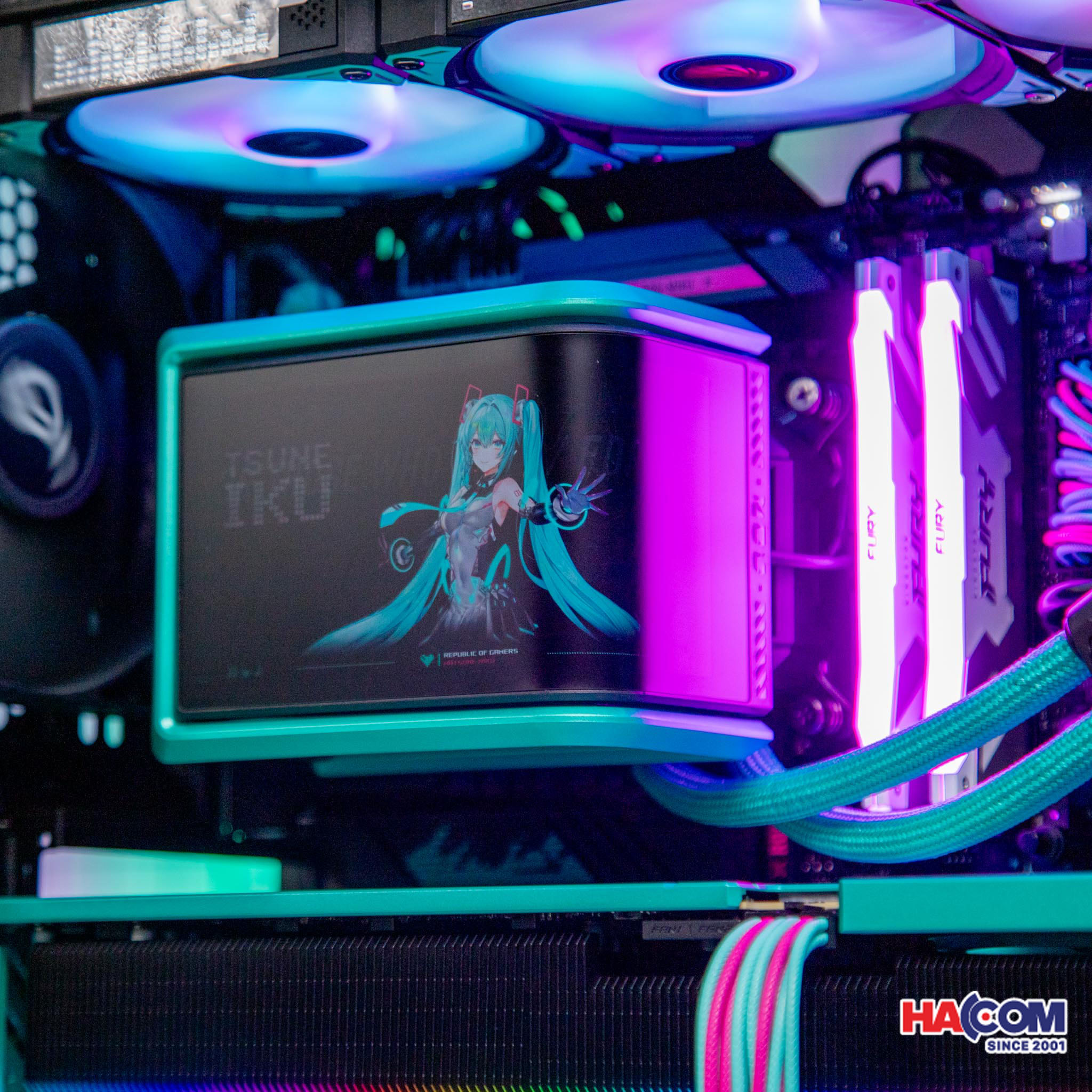 cdn/web/05112025/IMG_9967.jpg 5