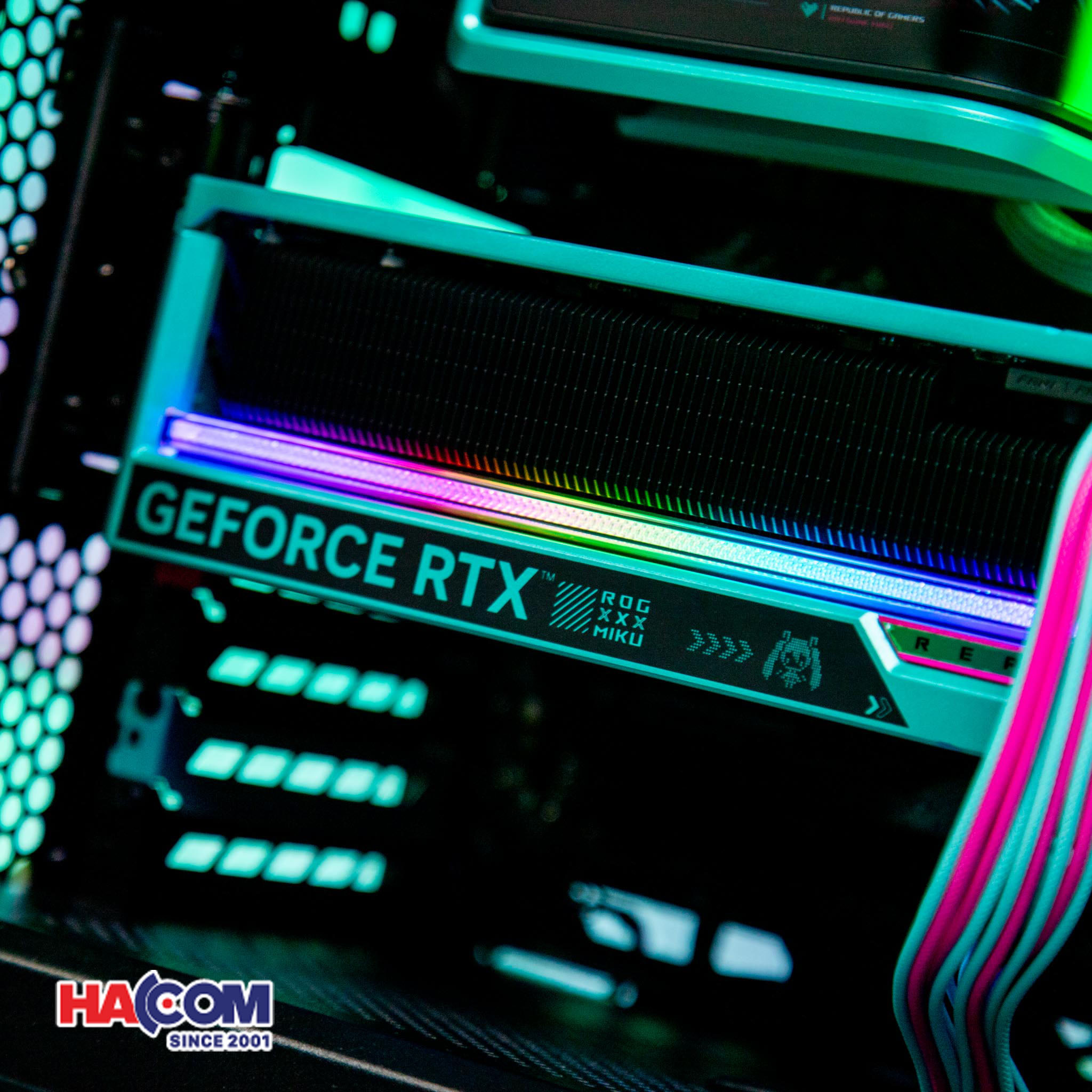 cdn/web/05112025/IMG_9968.jpg 4