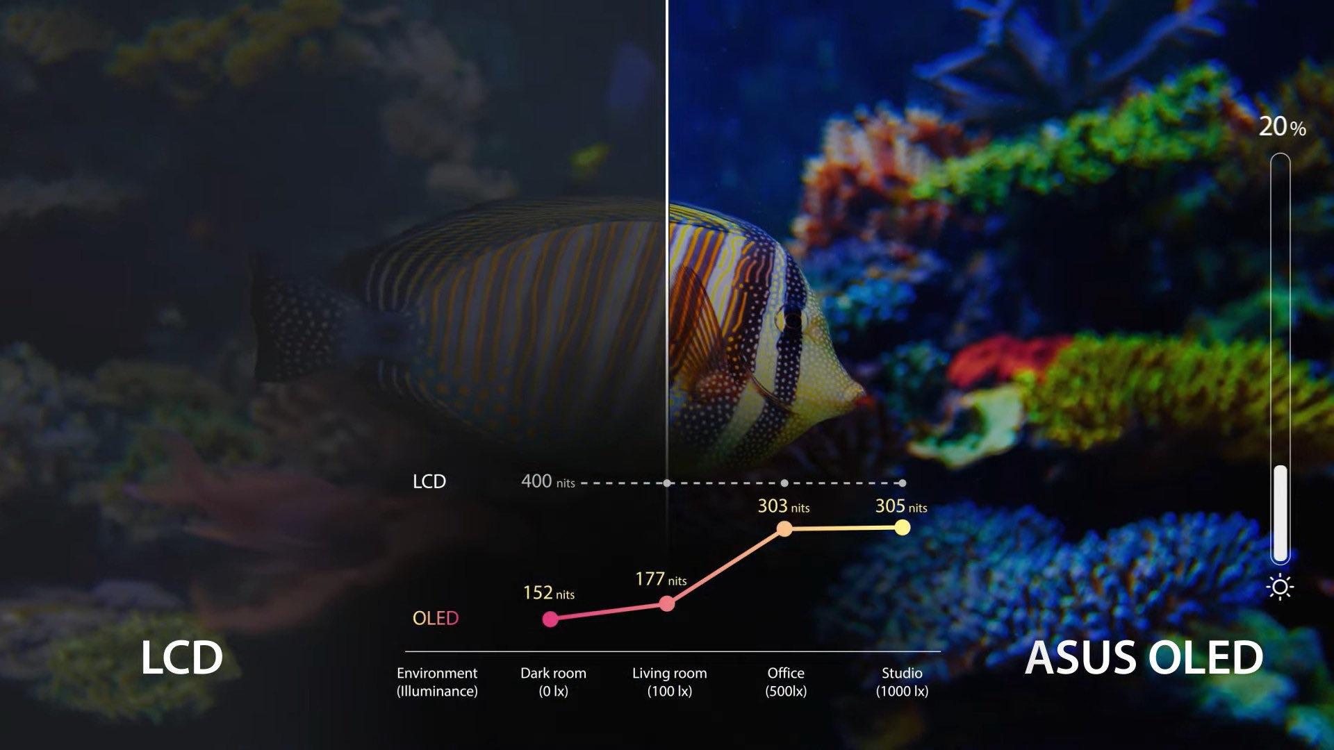 asus oled nen mua 20258