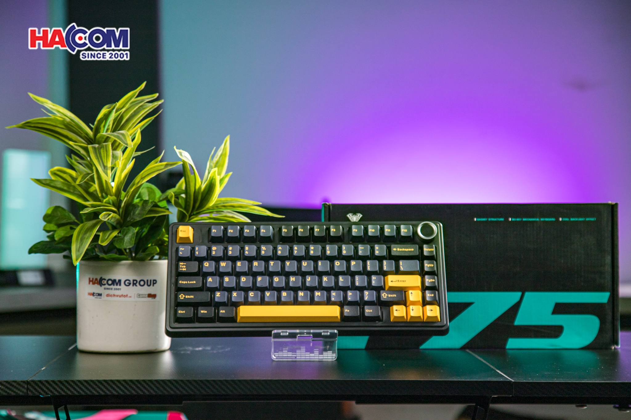 Bàn phím cơ AULA F75 (Đen/Xanh đậm/Cam), (3 Mode, Grey Wood V3 Switch) 3