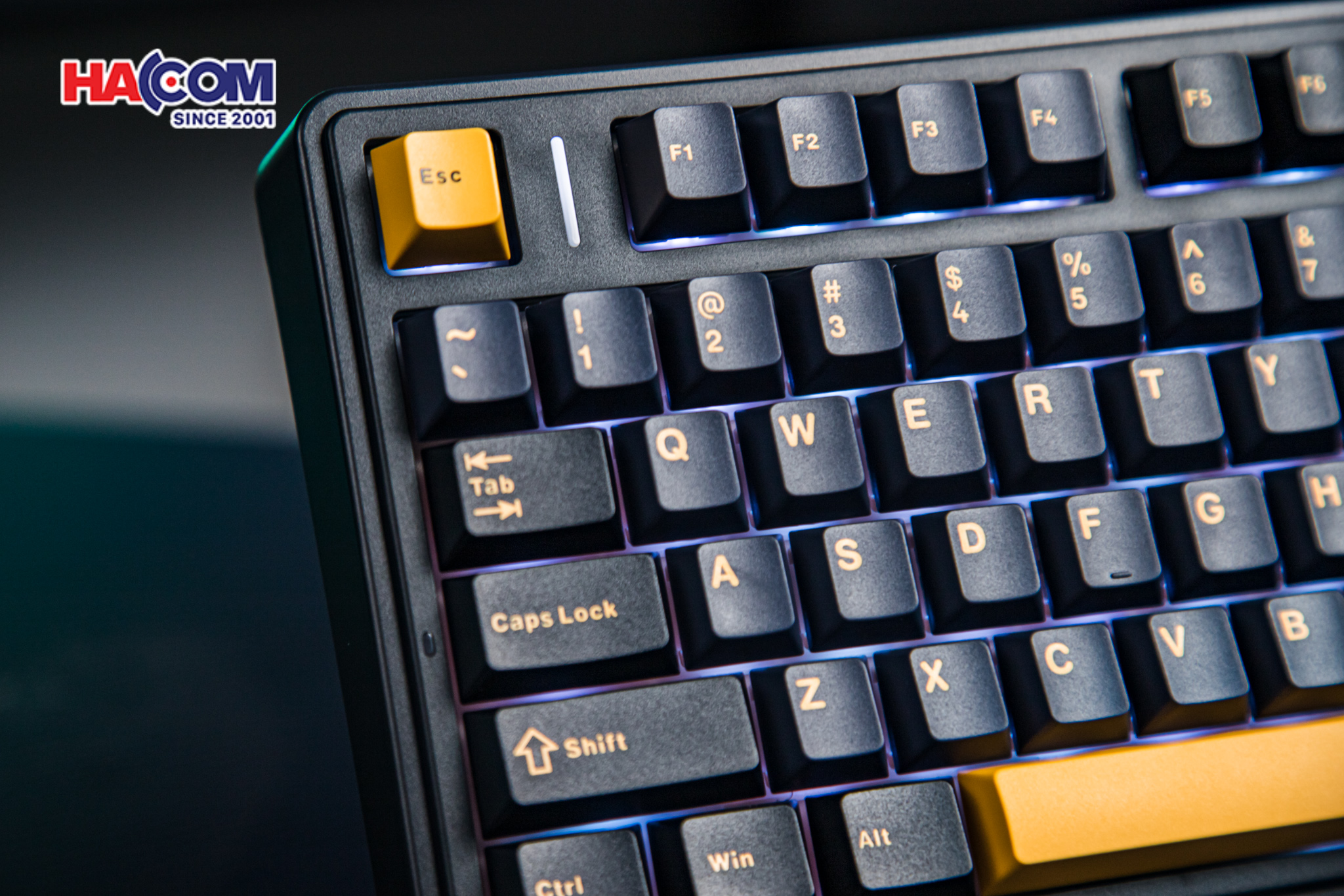 Bàn phím cơ AULA F75 (Đen/Xanh đậm/Cam), (3 Mode, Grey Wood V3 Switch) 8