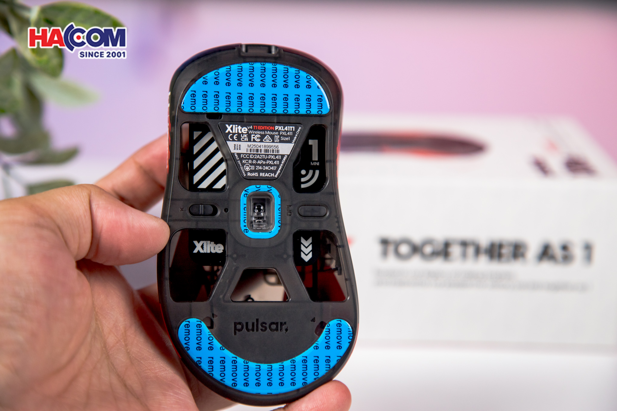  Chuột không dây Pulsar Xlite v4 Size1 T1 Edition_PXL41T1 9