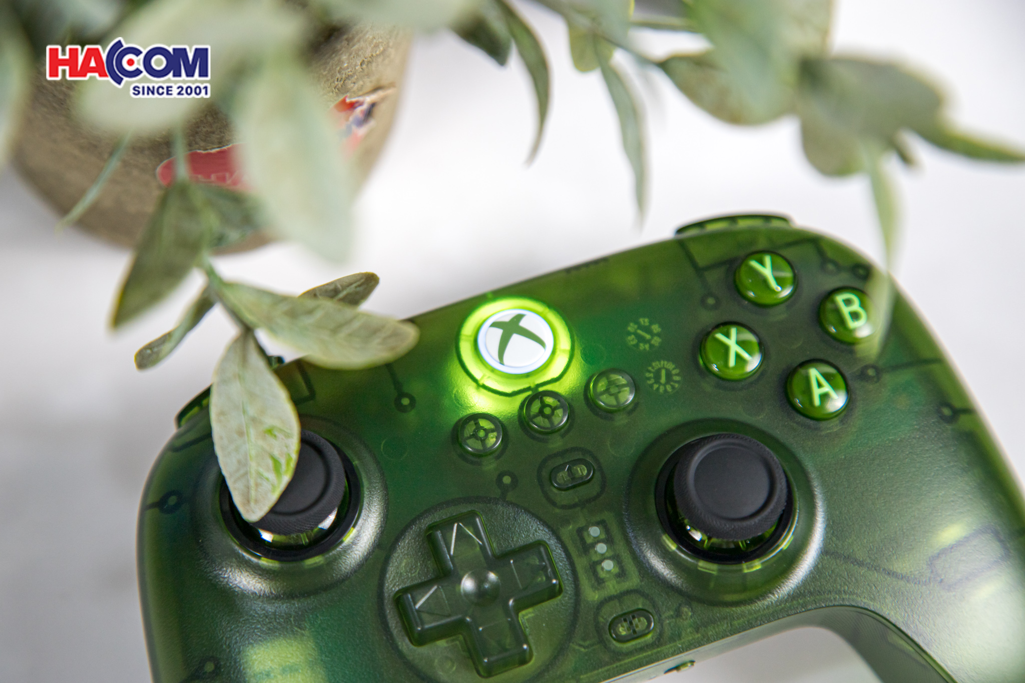  Tay cầm chơi game 8BitDo Ultimate 3-mode Controller for Xbox - Jade 9