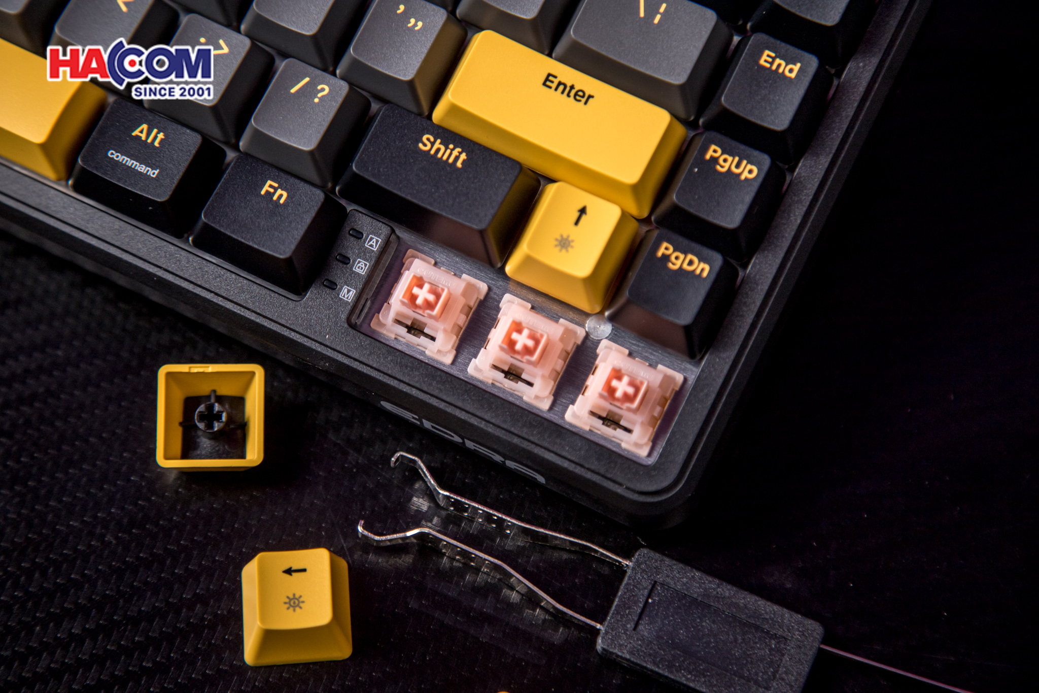 Bàn phím cơ có dây EDRA EK368HE (Magnet Switch) 16