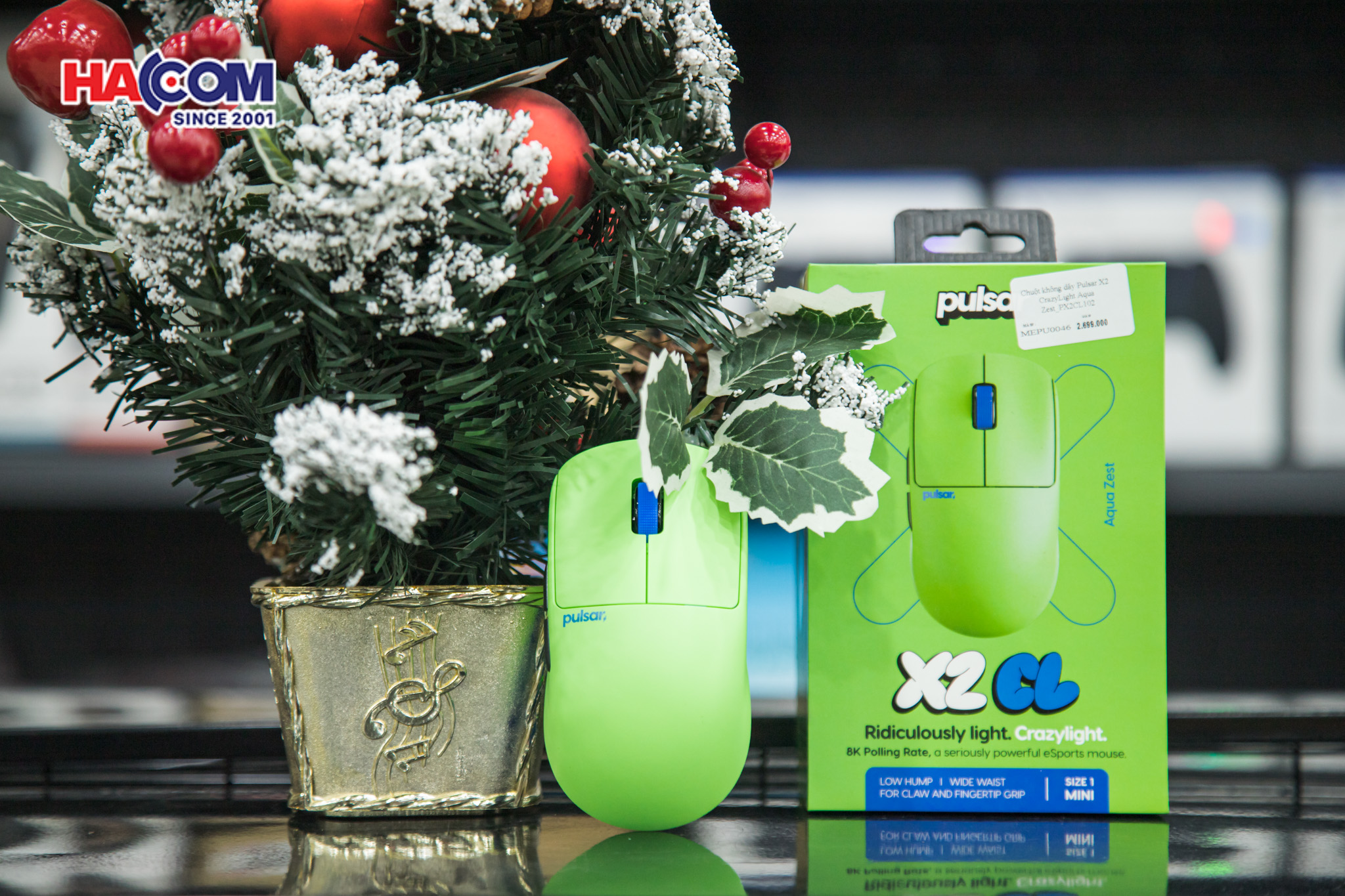 Chuột không dây Pulsar X2 CrazyLight Aqua Zest_PX2CL102 6