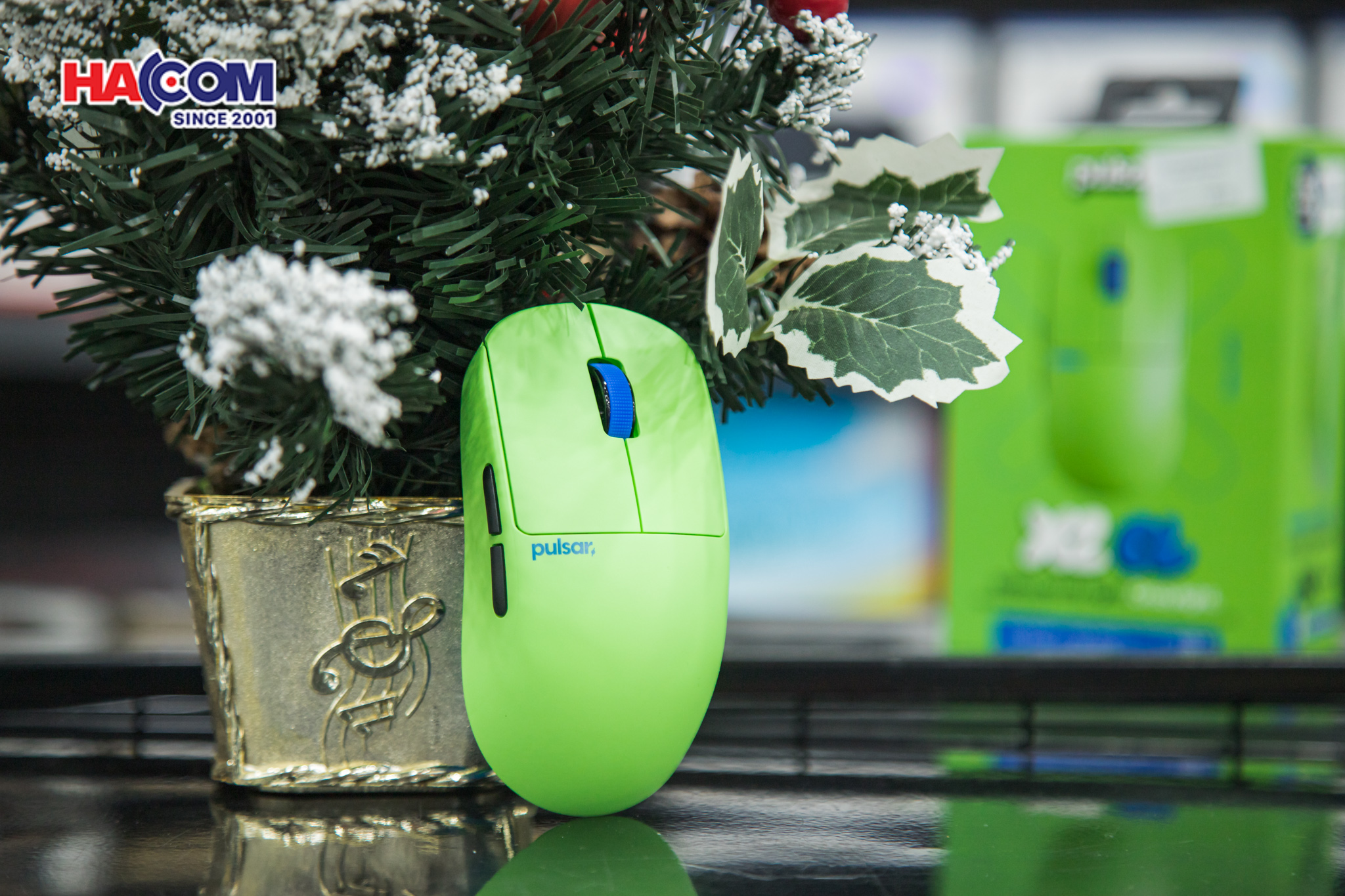 Chuột không dây Pulsar X2 CrazyLight Aqua Zest_PX2CL102 7