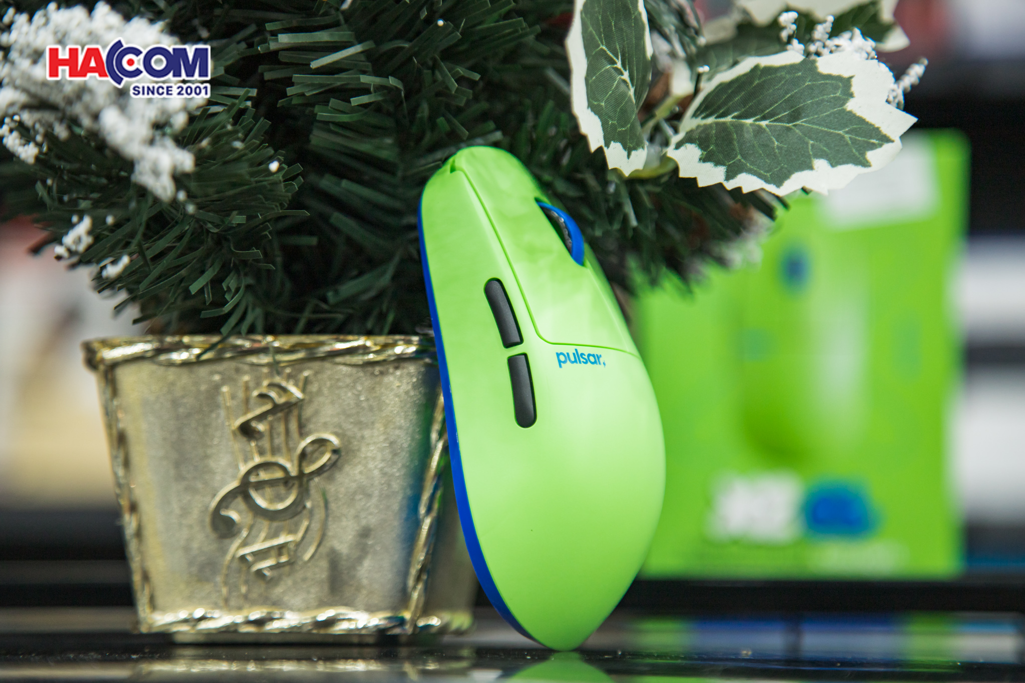 Chuột không dây Pulsar X2 CrazyLight Aqua Zest_PX2CL102 8