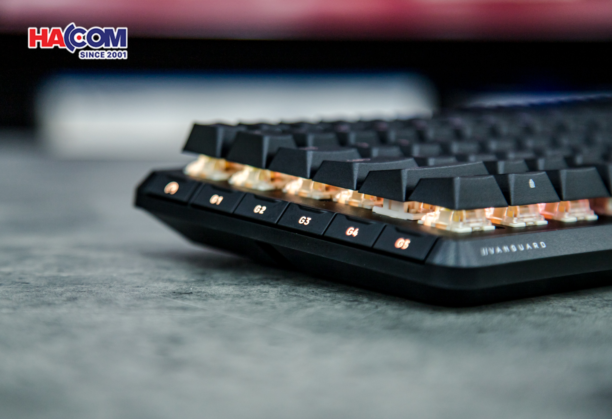 Bàn phím Corsair VANGUARD 96 MLX Fusion BLK (CH-91E901F-NA)an-phim-corsair-vanguard-96-mlx-fusion-blk-0015.jpg 15