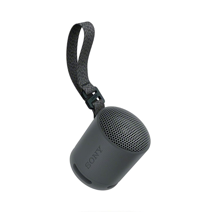 Loa Bluetooth Sony XB100 ( SRS-XB100/BCE) - Màu Đen 1