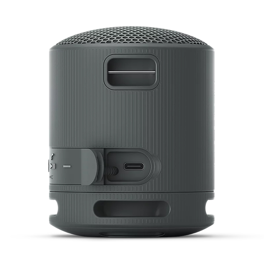 Loa Bluetooth Sony XB100 ( SRS-XB100/BCE) - Màu Đen 3