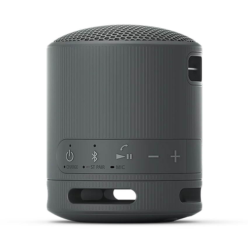 Loa Bluetooth Sony XB100 ( SRS-XB100/BCE) - Màu Đen 4