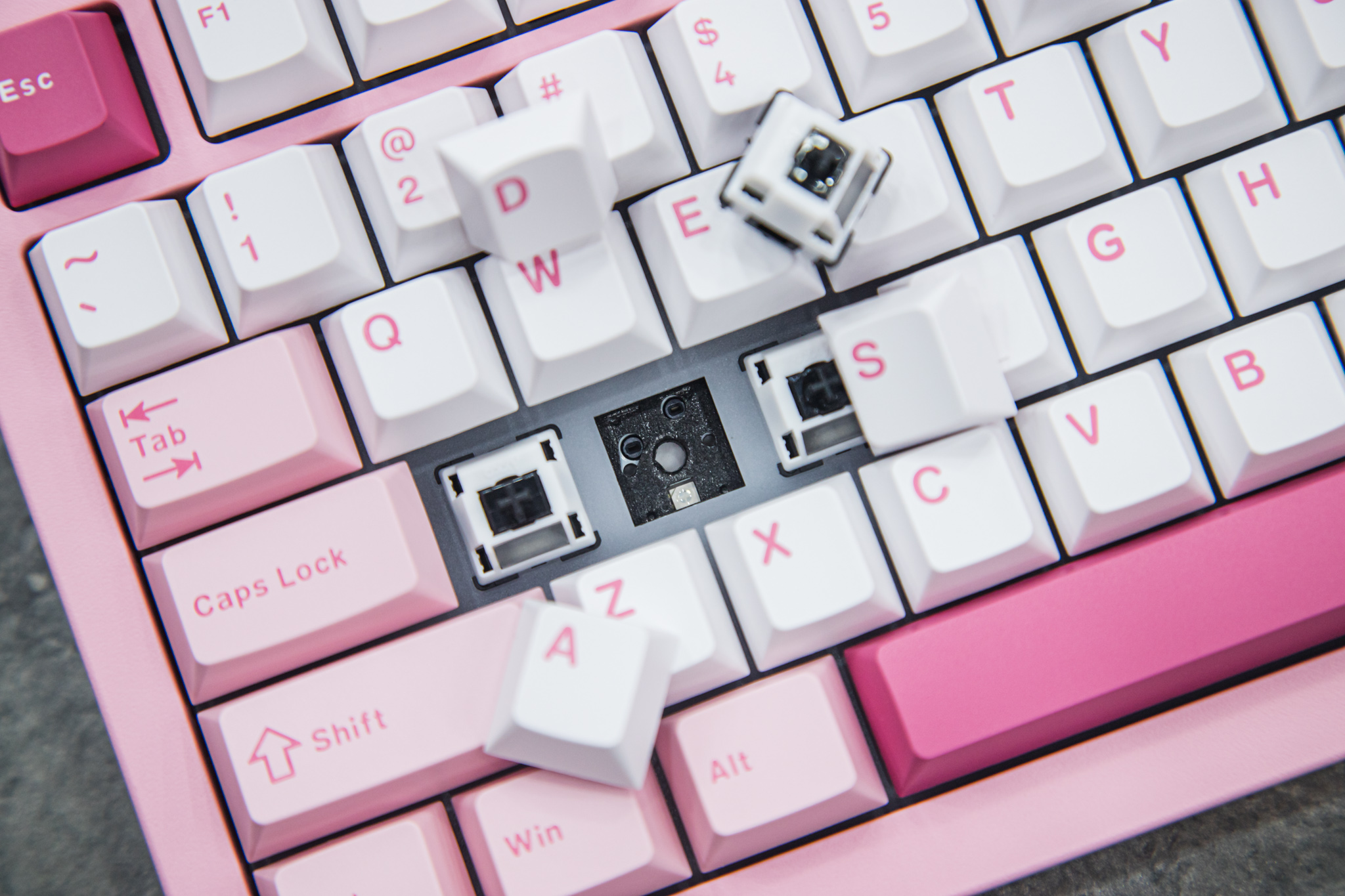 Bàn phím AKKO 5075 V3 Prunus Lannesiana Akko Piano 12