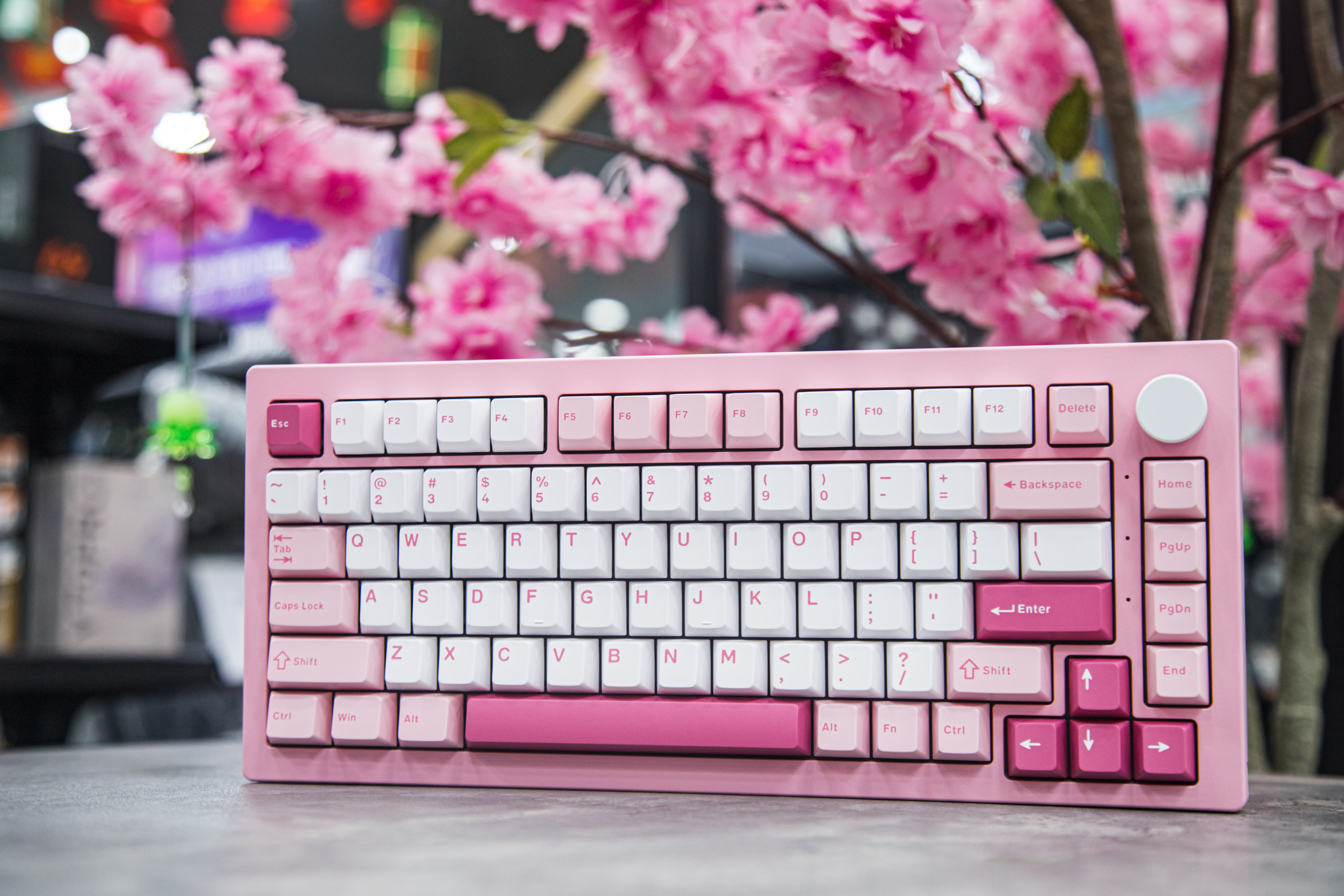 Bàn phím AKKO 5075 V3 Prunus Lannesiana Akko Piano 3