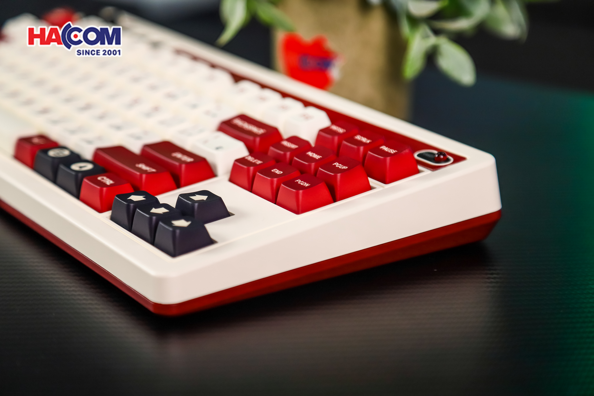 Bàn phím 8BitDo Retro Mechanical Keyboard - FAMI Edition 12