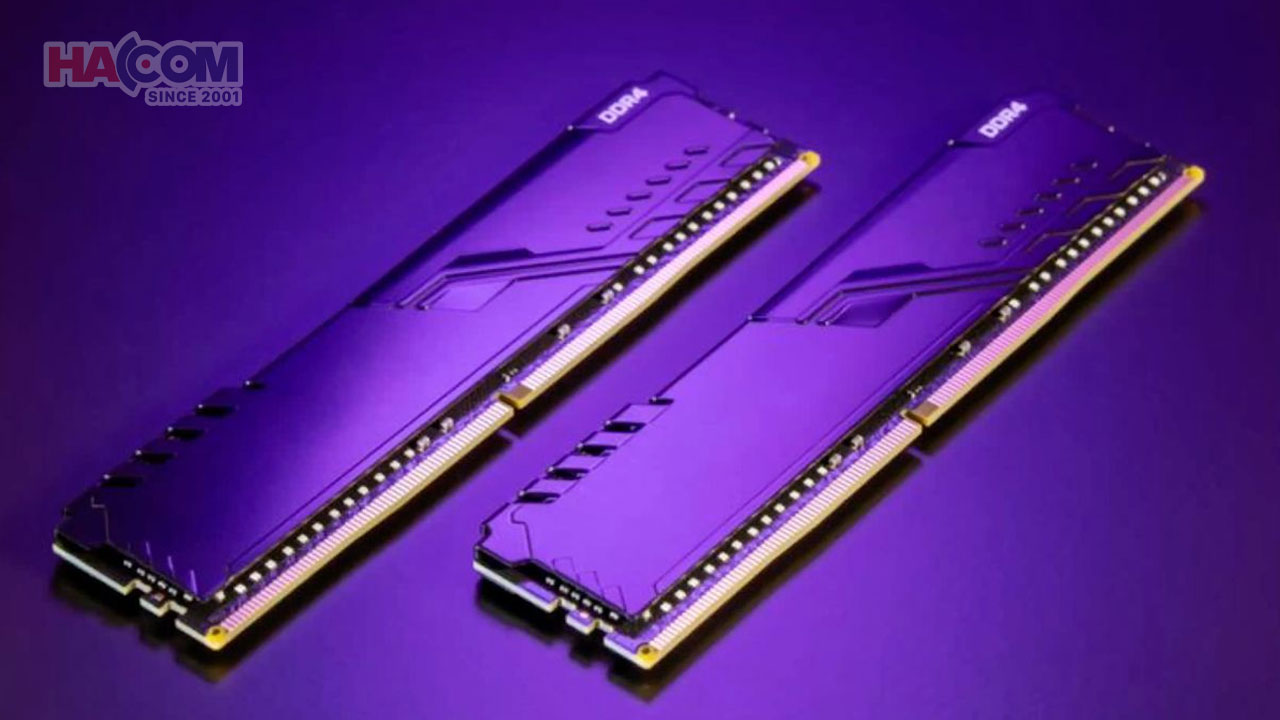 ram bo nho trong hacom 1