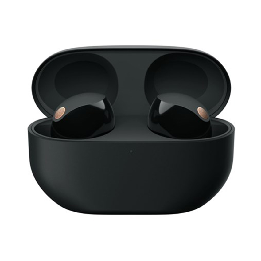 Tai nghe không dây Sony WF-1000XM5 - Đen 1