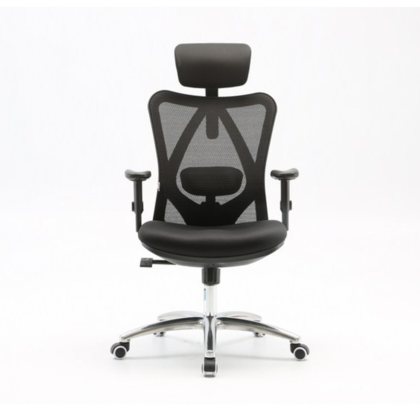Ghế Công Thái Học Ergonomic Sihoo M18-N102 Black (GHEG0796) - Hình 1