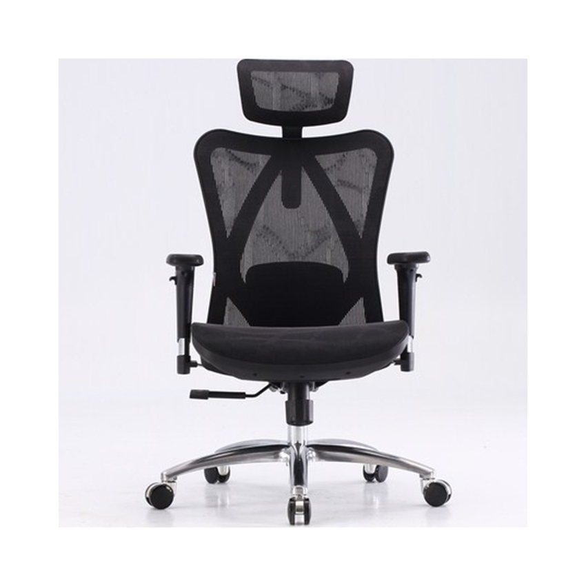 Ghế Công Thái Học Ergonomic Sihoo M57-N101 - Black Frame-Black Mesh (GHEG0800) - Hình 1