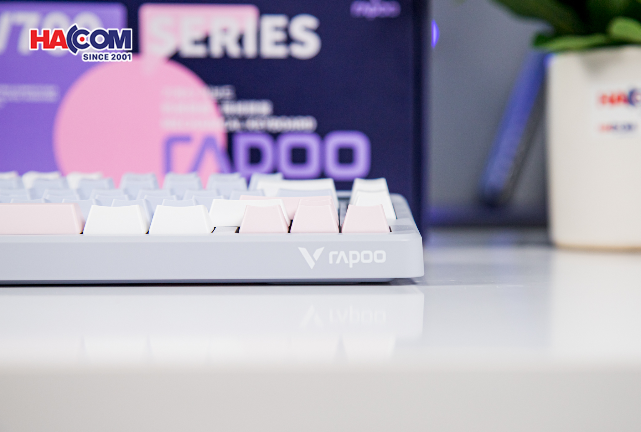 Bàn phím cơ Gaming Rapoo V700DIY-75 (Xanh Dương/Xám/Hồng) 12