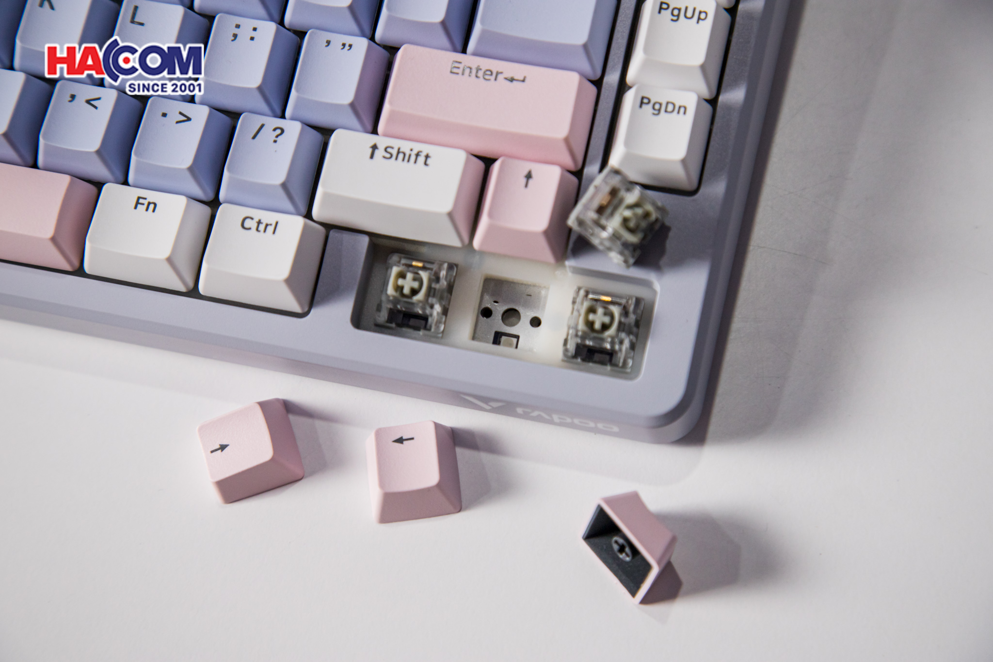 Bàn phím cơ Gaming Rapoo V700DIY-75 (Xanh Dương/Xám/Hồng) 14