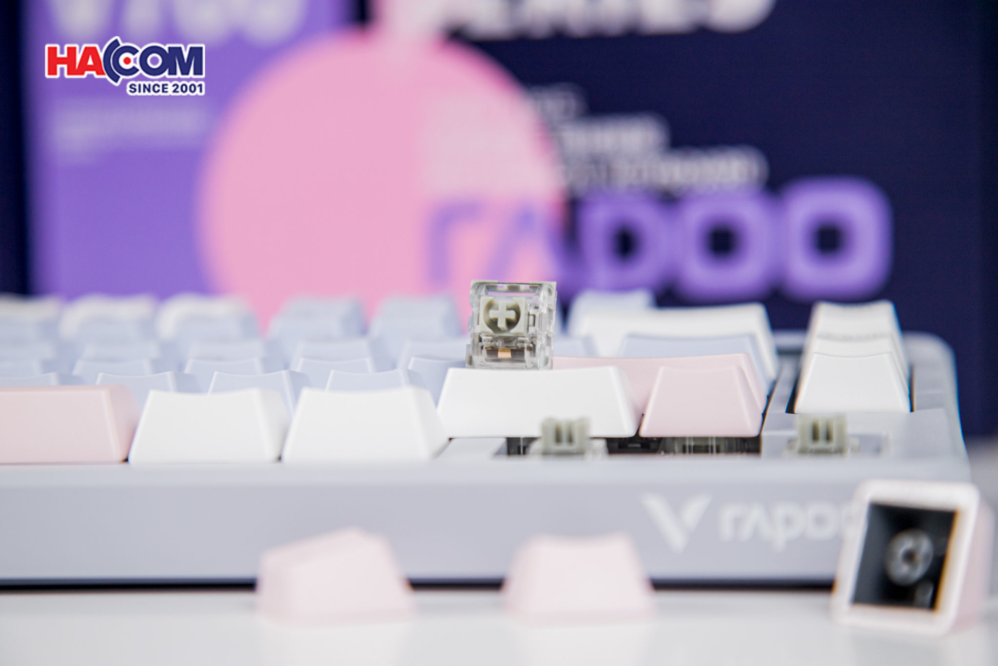 Bàn phím cơ Gaming Rapoo V700DIY-75 (Xanh Dương/Xám/Hồng)cdn/web/13122025/ban-phim-co-gaming-rapoo-v700diy-75-0014.jpg 15