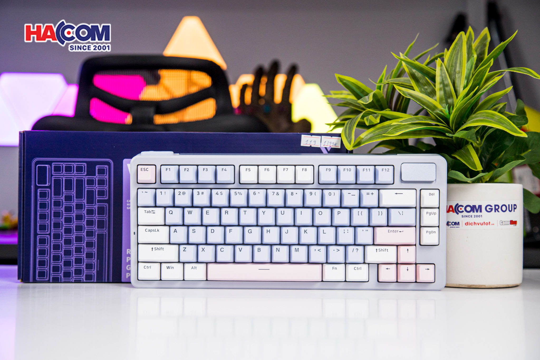 Bàn phím cơ Gaming Rapoo V700DIY-75 (Xanh Dương/Xám/Hồng) 4