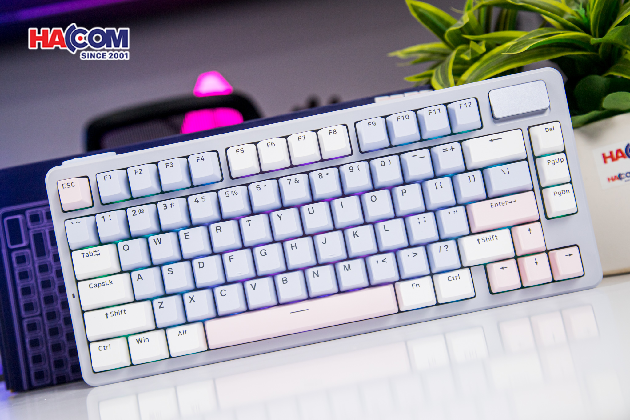 Bàn phím cơ Gaming Rapoo V700DIY-75 (Xanh Dương/Xám/Hồng)3122025/ban-phim-co-gaming-rapoo-v700diy-75-004.jpg 5