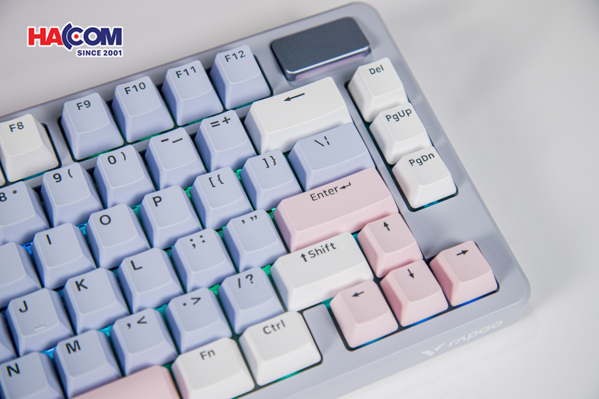 Bàn phím cơ Gaming Rapoo V700DIY-75 (Xanh Dương/Xám/Hồng) 7