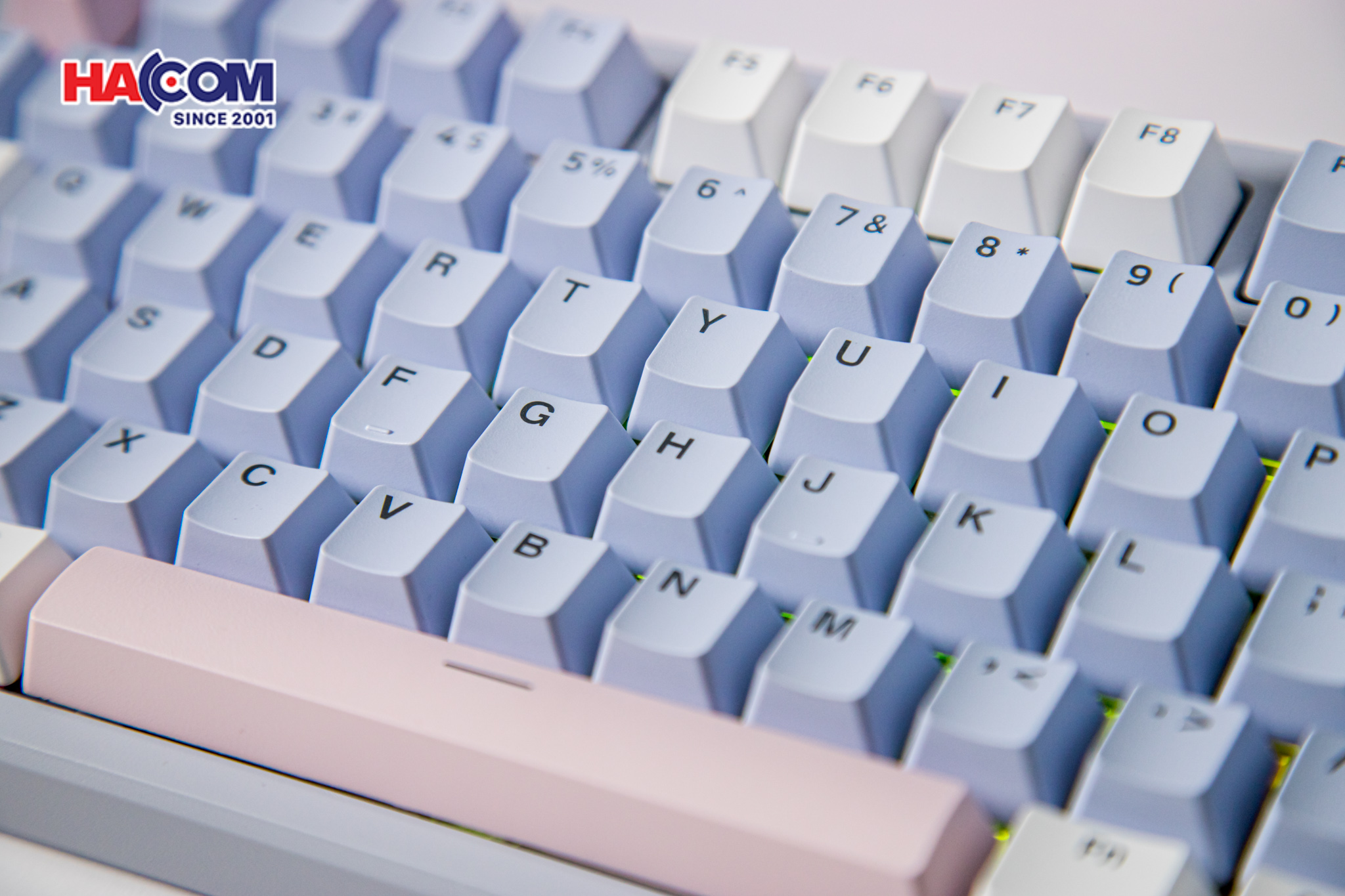 Bàn phím cơ Gaming Rapoo V700DIY-75 (Xanh Dương/Xám/Hồng) 8