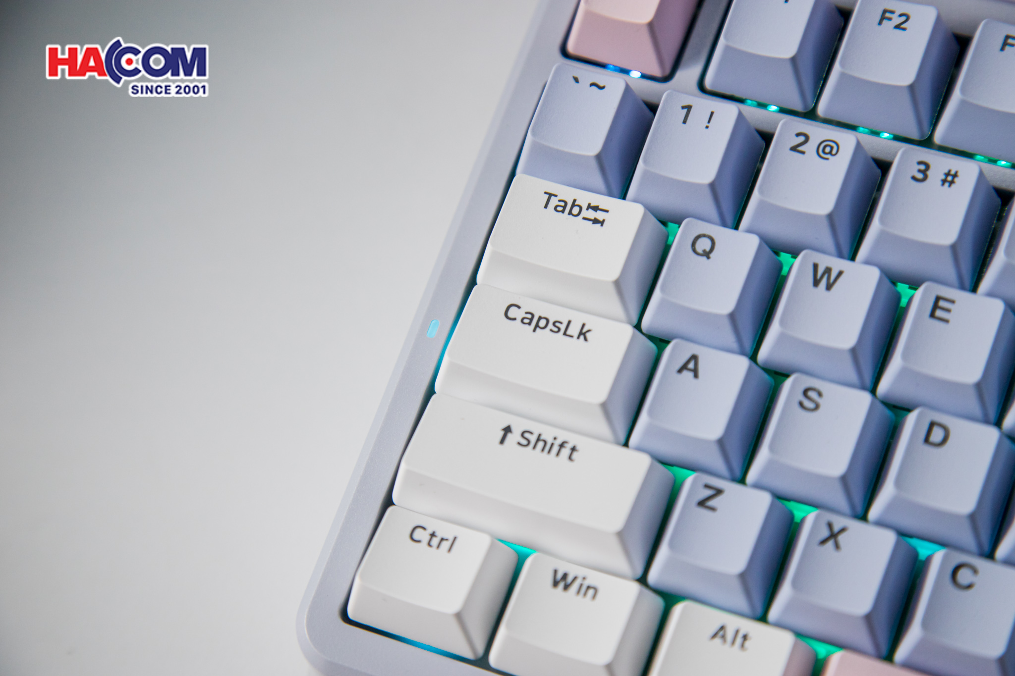 Bàn phím cơ Gaming Rapoo V700DIY-75 (Xanh Dương/Xám/Hồng) 9