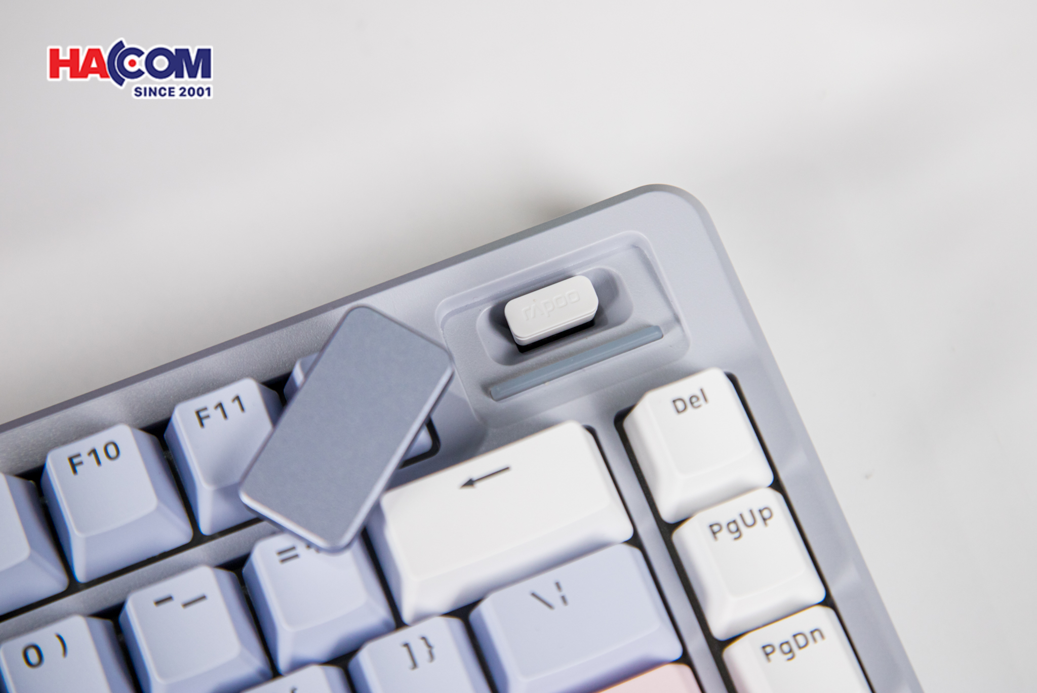 Bàn phím cơ Gaming Rapoo V700DIY-75 (Xanh Dương/Xám/Hồng) 10