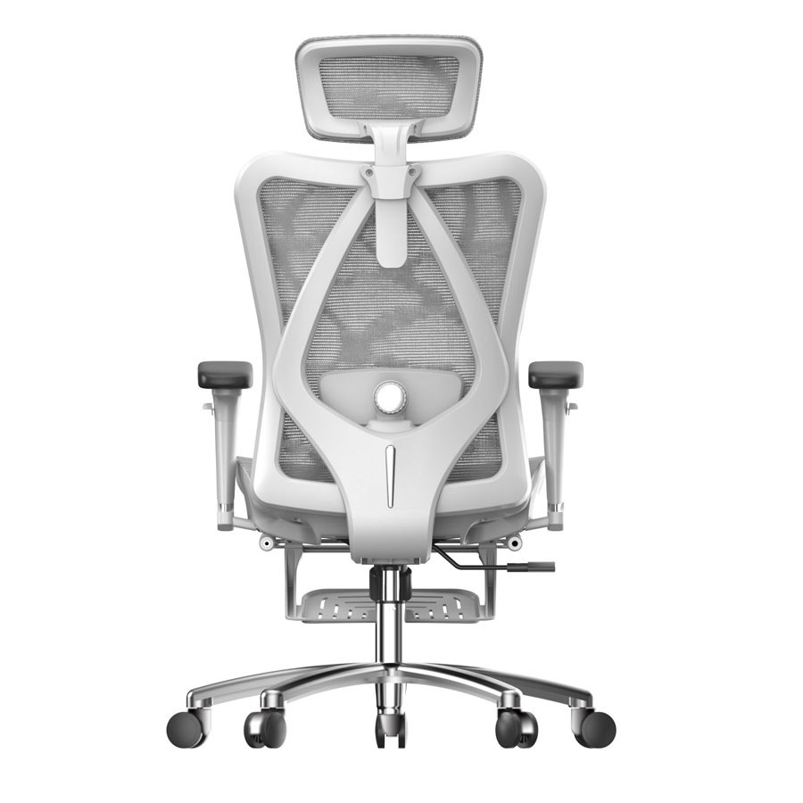 Ghế Công Thái Học Ergonomic Sihoo M57-N102 - Black Frame Grey Mesh(GHEG0974) 1