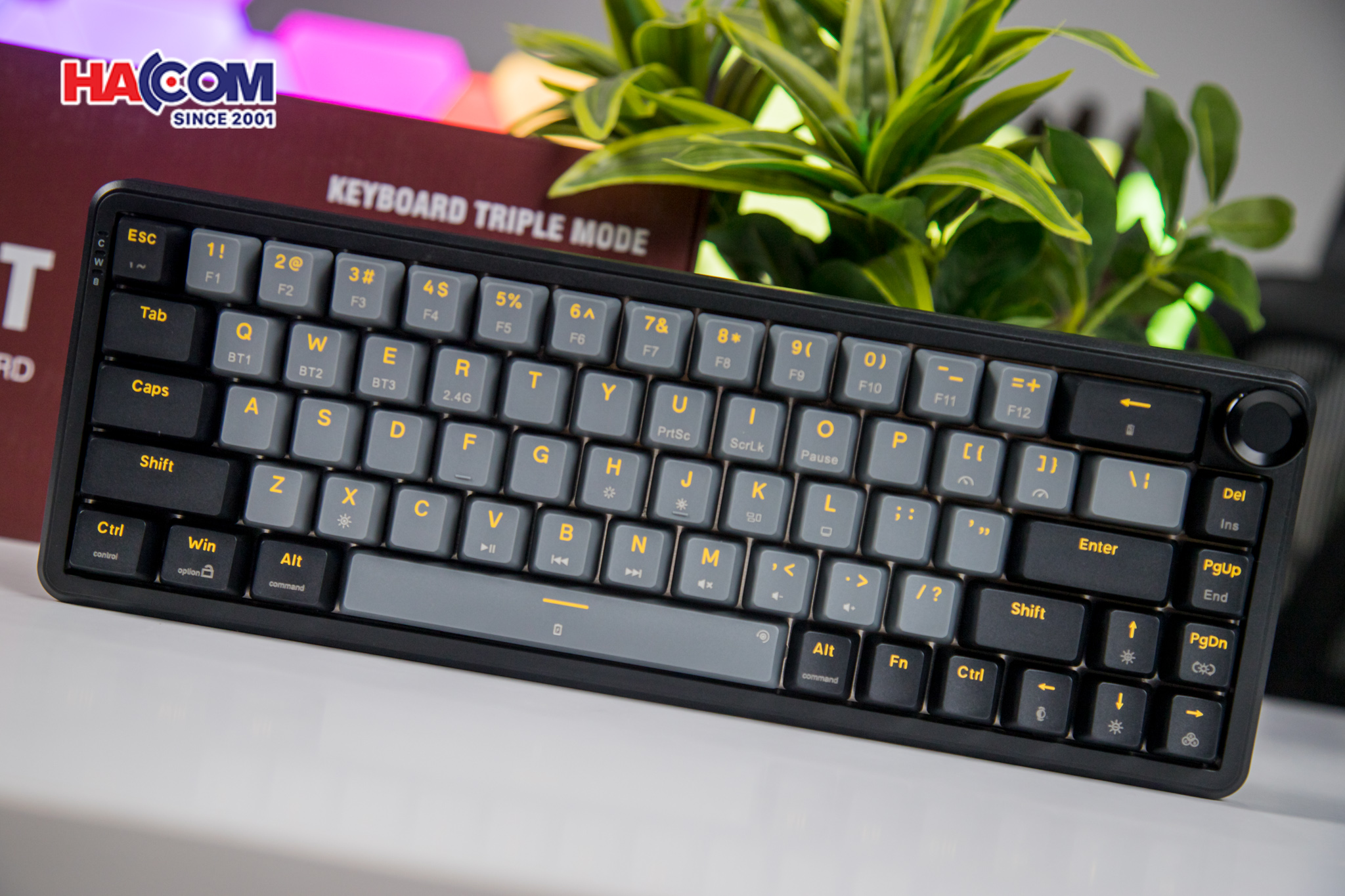 Bàn phím cơ EDRA EK368RT Triple Moden/web/15122025/ban-phim-co-edra-ek368rt-triple-mode-0014.jpg 14