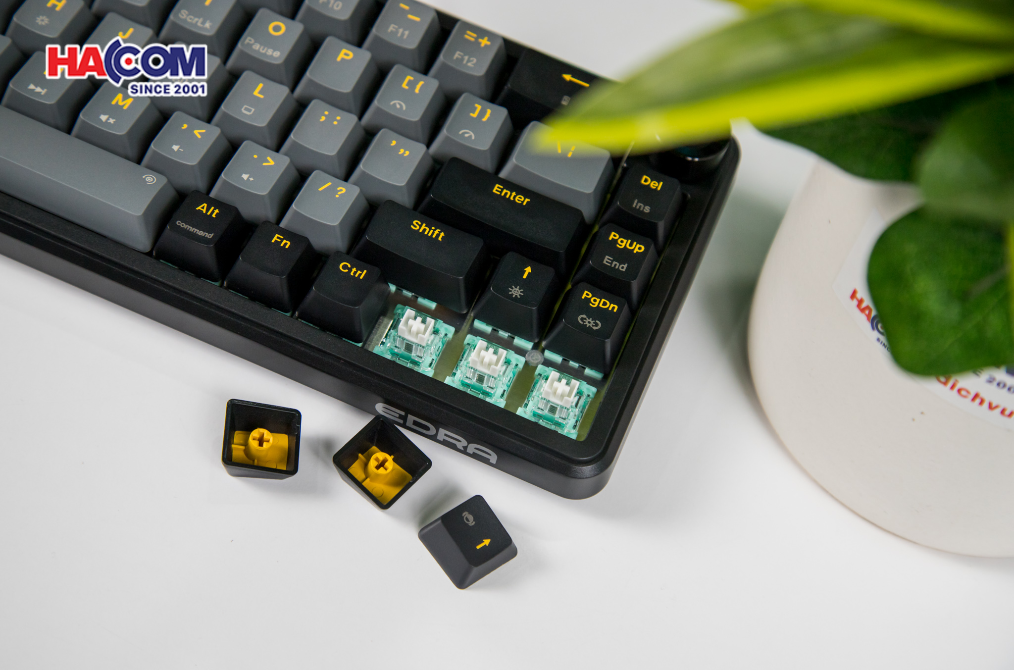 Bàn phím cơ EDRA EK368RT Triple Mode025/ban-phim-co-edra-ek368rt-triple-mode-0015.jpg 15