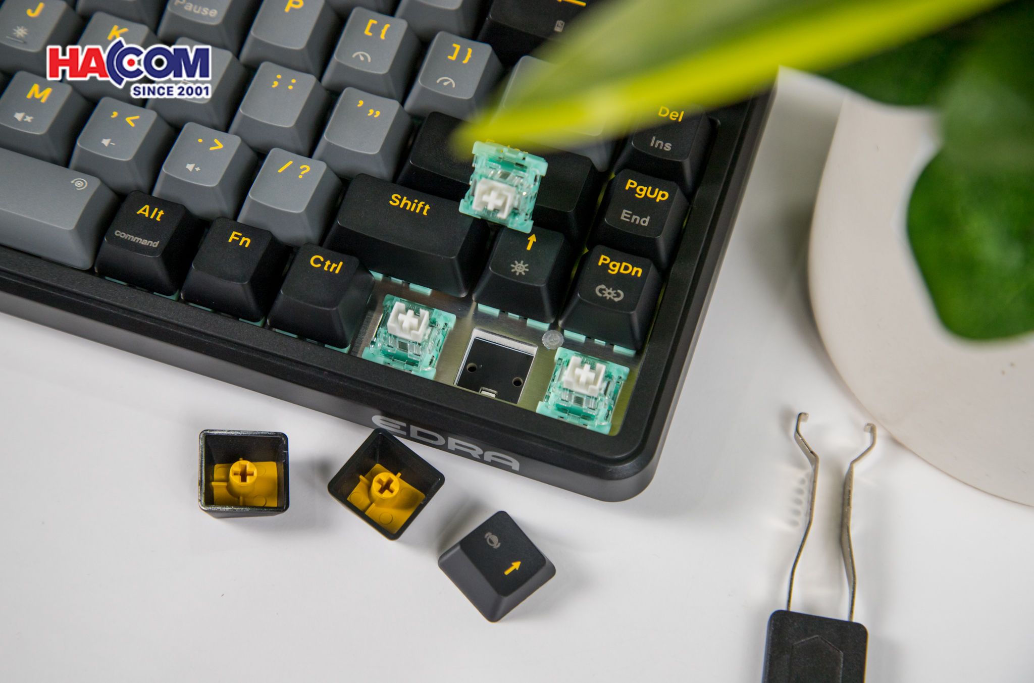 Bàn phím cơ EDRA EK368RT Triple Mode25/ban-phim-co-edra-ek368rt-triple-mode-0016.jpg 16