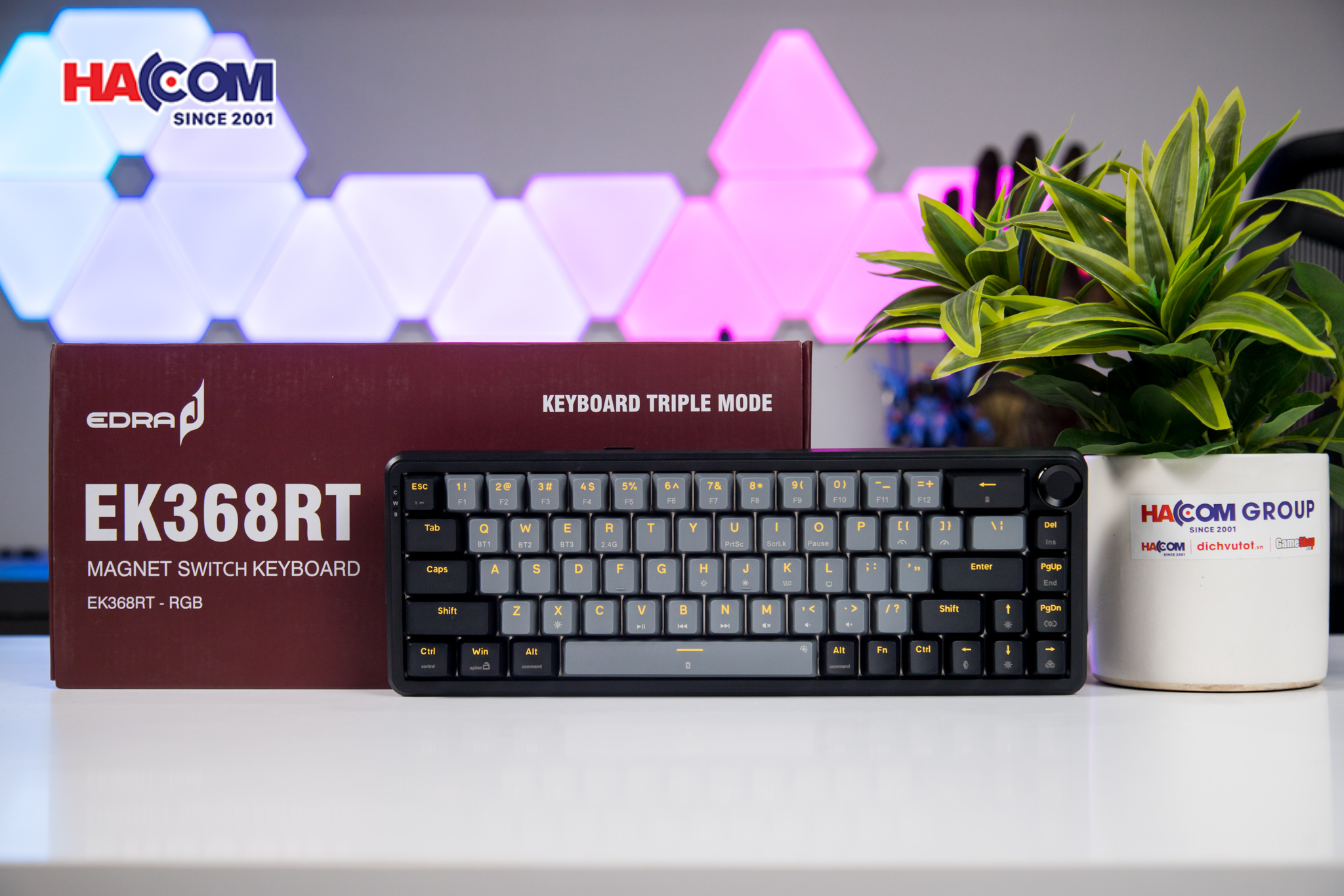 Bàn phím cơ EDRA EK368RT Triple Mode 2