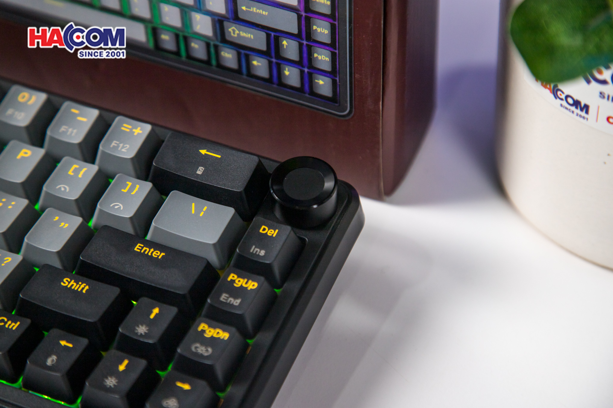 Bàn phím cơ EDRA EK368RT Triple Mode 5